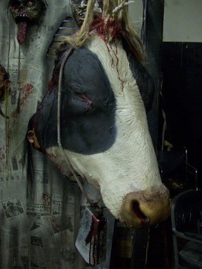 Cow Head