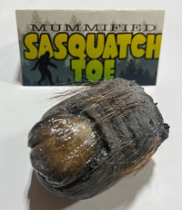 Lucky Sasquatch Toe