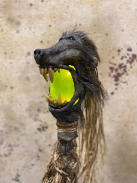 Baboon Swamp Stick