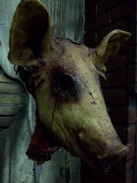 Hog Mask