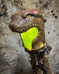 Snake Swamp Stick